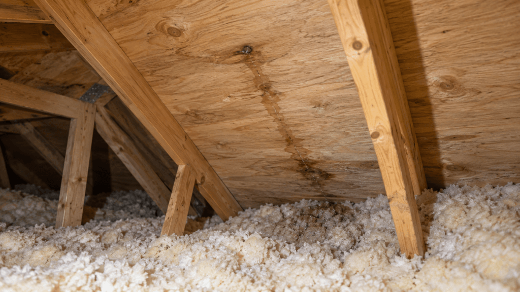 Attic inspection scene showing a water track on roof sheathing, light staining around a fastener and damp insulation below