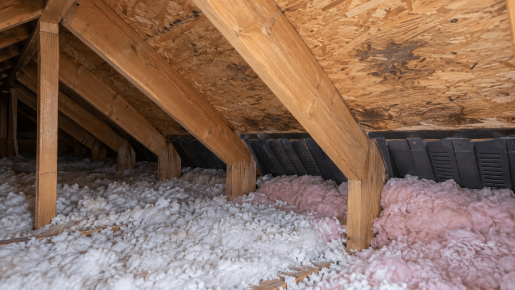 Attic interior showing insulation, ventilation baffles and moisture staining on roof sheathing